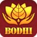 TeenPatti Bodhi earn money