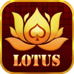 teen patti lotus apk download